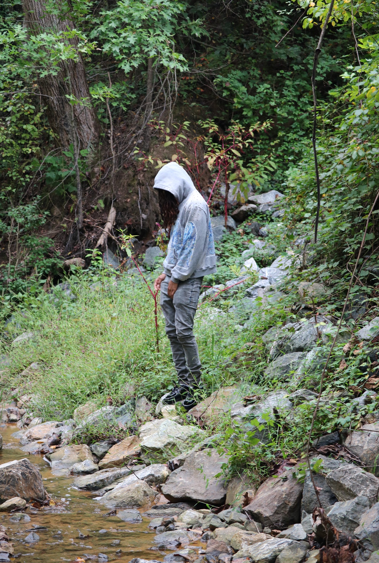 "Angels of Athens" Wolf Gray Hoodie